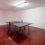 ping pong table mijas villa